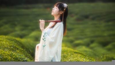 离谱杀猪盘！日本31岁男子假扮马斯克网恋诈骗65岁老太