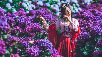 菠萝视频全集高清免费看菠萝视频全集高清免费看桌面最新版